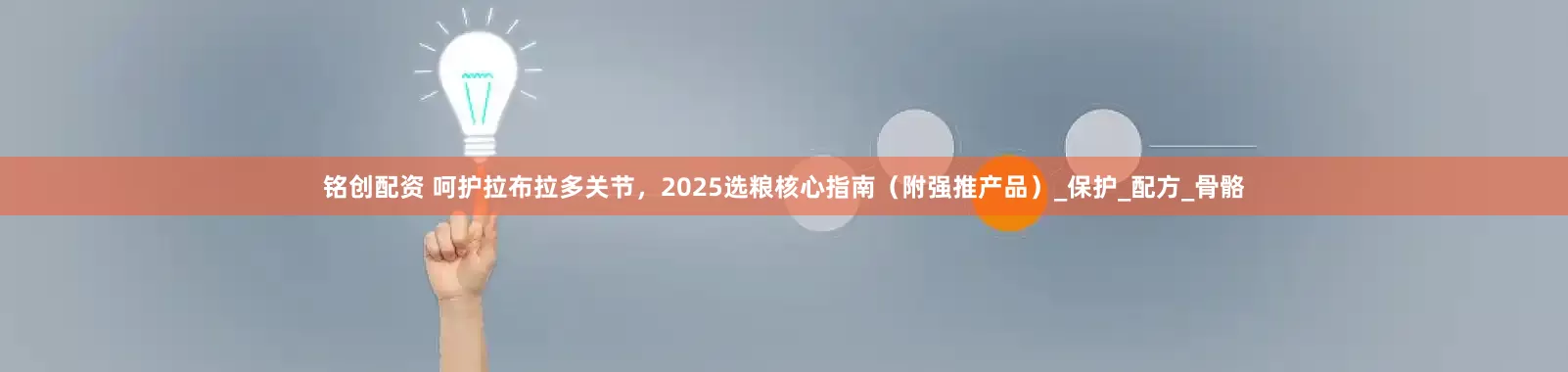 铭创配资 呵护拉布拉多关节，2025选粮核心指南（附强推产品）_保护_配方_骨骼