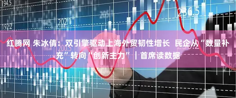 红腾网 朱冰倩：双引擎驱动上海外贸韧性增长  民企从“数量补充”转向“创新主力”︱首席读数据