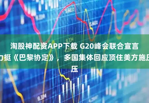 淘股神配资APP下载 G20峰会联合宣言力挺《巴黎协定》，多国集体回应顶住美方施压