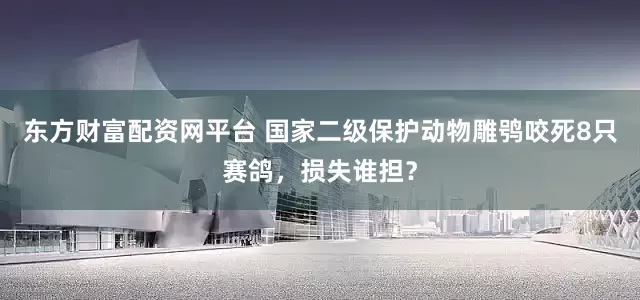 东方财富配资网平台 国家二级保护动物雕鸮咬死8只赛鸽，损失谁担？